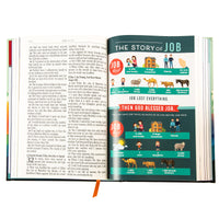 KJV Teal Mountains Hardcover Kids Bible Large Print